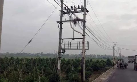 Người đàn ông trung niên tử vong trên cột điện cao thế ở Hải Phòng